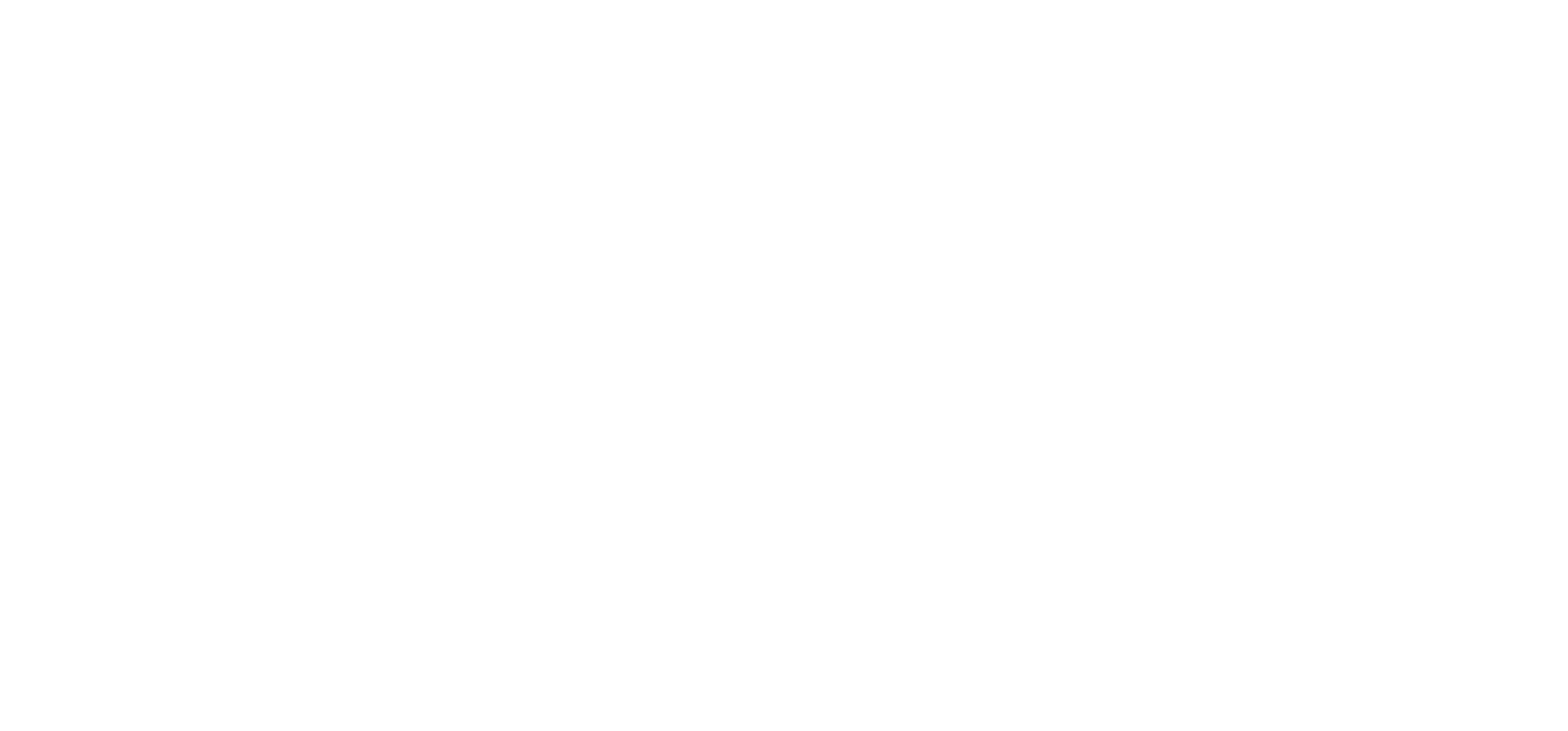 Client 29